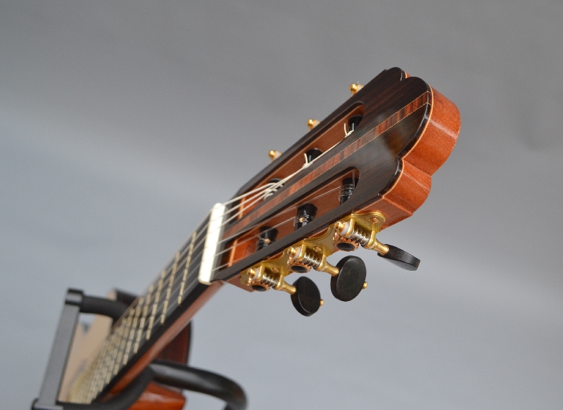 Birth of a guitar