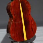 Back