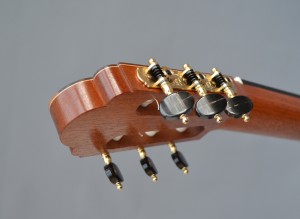 DD Head
