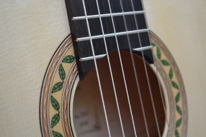 EDsc 0050