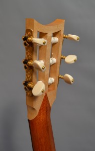 Panormo head
