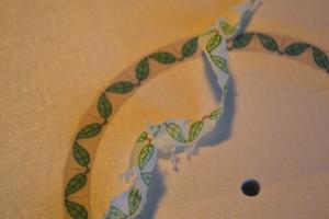 Rosette007